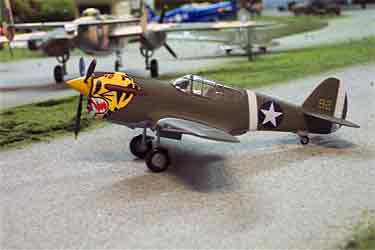 B11B544 P-40 E Warhawk U.S.A.A.F. 11 FS-343 FG 148 Scale